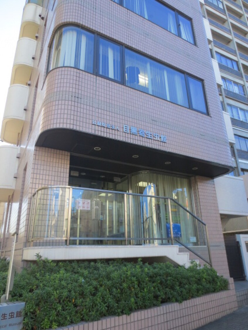 目黒寄生虫館(美術館/博物館)まで150m コ－プ渡辺