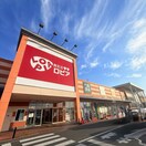 ロピア(スーパー)まで803m ＤＷＥＬＬ寿