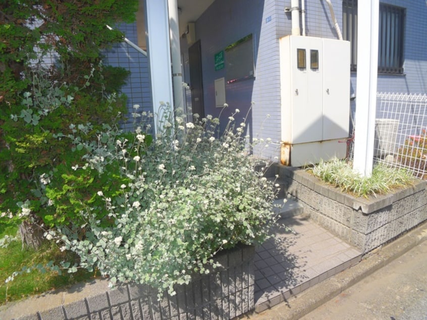 エントランス部分 サンタカラハイツ