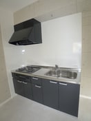 キッチン サンタカラハイツ