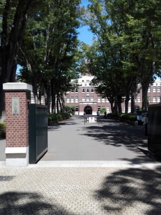 成蹊大学(大学/短大/専門学校)まで1400m ミハス吉祥寺東町