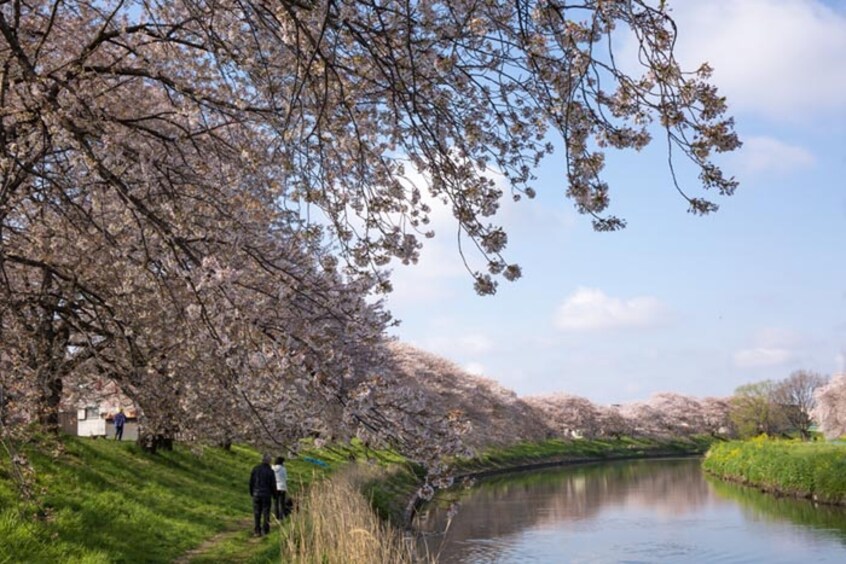 北越谷第五公園(公園)まで921m メゾン小田