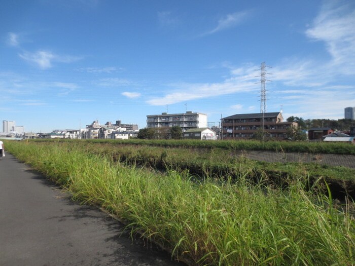 周辺環境 リバーサイド矢上