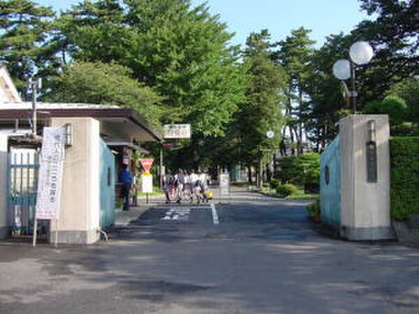 相模女子大学(大学/短大/専門学校)まで460m セゾンハイム