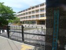 大谷場東小学校(小学校)まで440m コートハウス