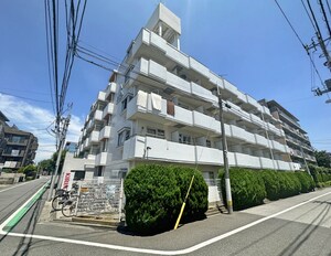 トップ金町　（210）
