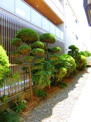 室内からの展望 ＳＳハイツ