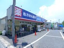 ウエルシア(ドラッグストア)まで740m ビューラＭ