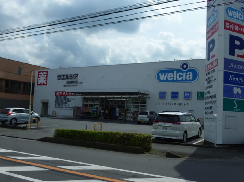 ウェルシア飯能緑町店(ドラッグストア)まで689m ハイツウェルト