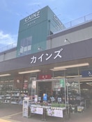 カインズホーム松原団地店(電気量販店/ホームセンター)まで400m グレースコート