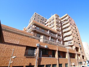 ﾗｲｵﾝｽﾞﾏﾝｼｮﾝ府中第3（401）