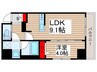 ティモーネ押上ノルド 1LDKの間取り