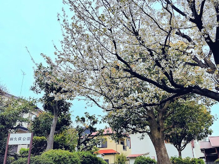 網久保公園(公園)まで550m ふれあいタウンＢ棟