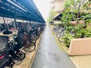 駐輪場 ﾋﾞｰ･ｼﾃｨ ﾍﾞｲｳｨﾝｸﾞ棟(1101)