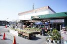 セキチュー 鶴川店(電気量販店/ホームセンター)まで312m メイビレッジＢ棟