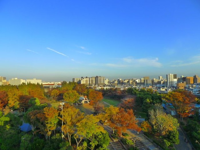 室内からの展望 ｽｶｲｺｰﾄ亀戸中央公園（901）