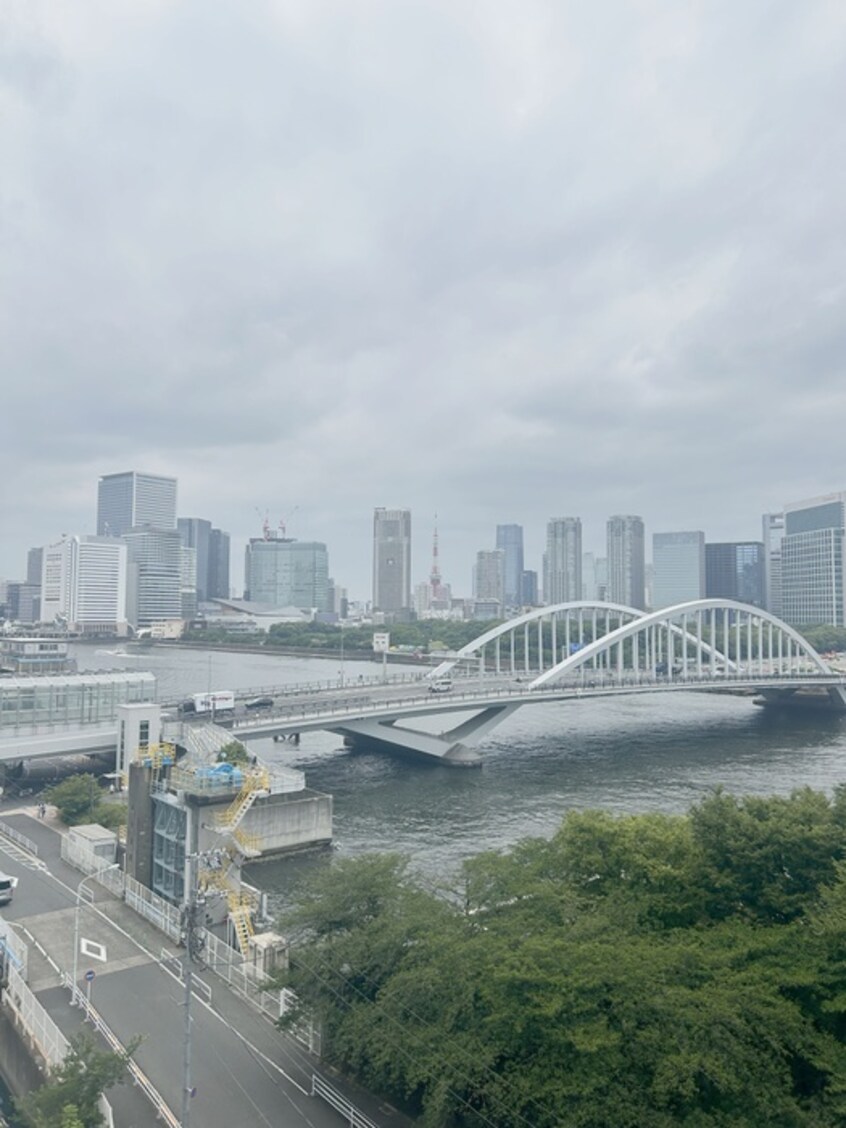 室内からの展望 グリーンホームズⅡ