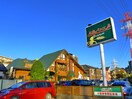 ピーターパン(その他飲食（ファミレスなど）)まで670m リブリ・SUZUYASU