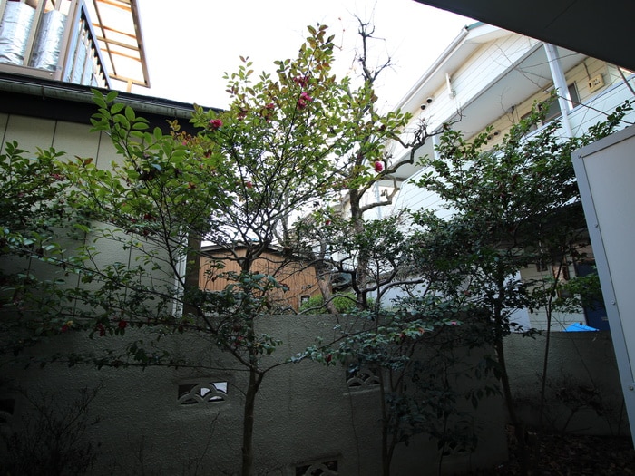室内からの展望 小杉ハイム