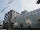 東京都済生会中央病院(病院)まで550m コンフォリア麻布EAST