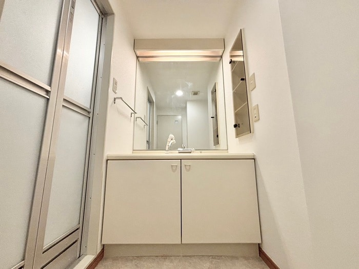 洗面 ﾌﾚｰﾙ早稲田（501）