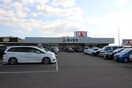 角上魚類越谷店(スーパー)まで900m リブリ・ウェスティン
