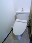 トイレ ﾗｲｵﾝｽﾞｽﾃｰｼｮﾝﾌﾟﾗｻﾞ新小岩(303)