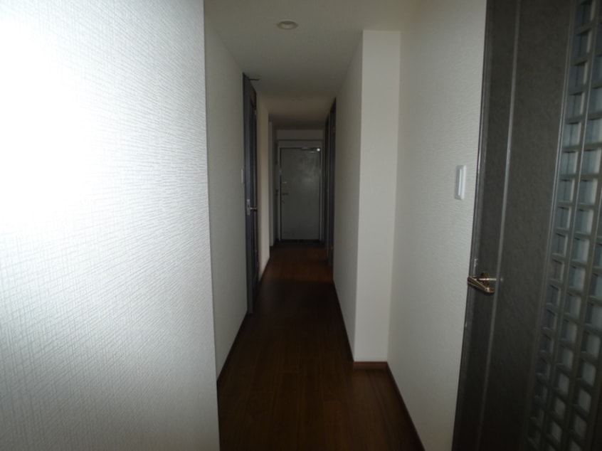 廊下 ﾗｲｵﾝｽﾞｽﾃｰｼｮﾝﾌﾟﾗｻﾞ新小岩(303)