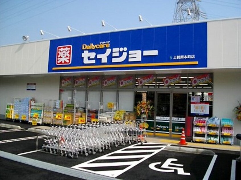 薬のセイジョー(ドラッグストア)まで440m ＧＲＡＮＤ　ＣＨＡＲＩＯＴ