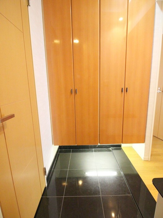 玄関 ｽｶｲﾚｼﾞﾃﾞﾝｼｬﾙﾀﾜｰｽﾞSOUTHWING