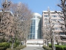 私立慶應義塾大学矢上キャンパス(大学/短大/専門学校)まで835m サンクリスティ－ハウス