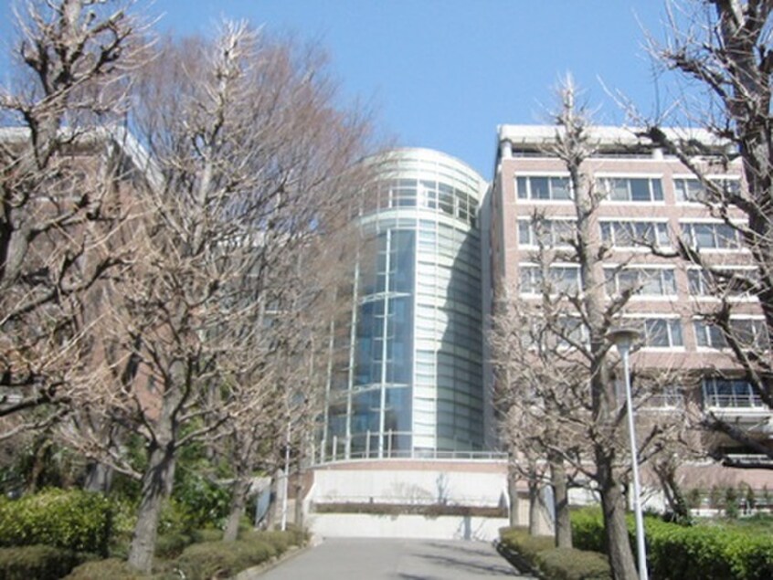 私立慶應義塾大学矢上キャンパス(大学/短大/専門学校)まで835m サンクリスティ－ハウス