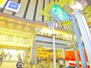 スターバックスコーヒー(カフェ)まで110m エスティメゾン錦糸町Ⅱ