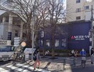 明治屋(スーパー)まで350m クオリア南麻布