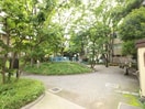 東五軒公園(公園)まで850m タウンコート飯田橋
