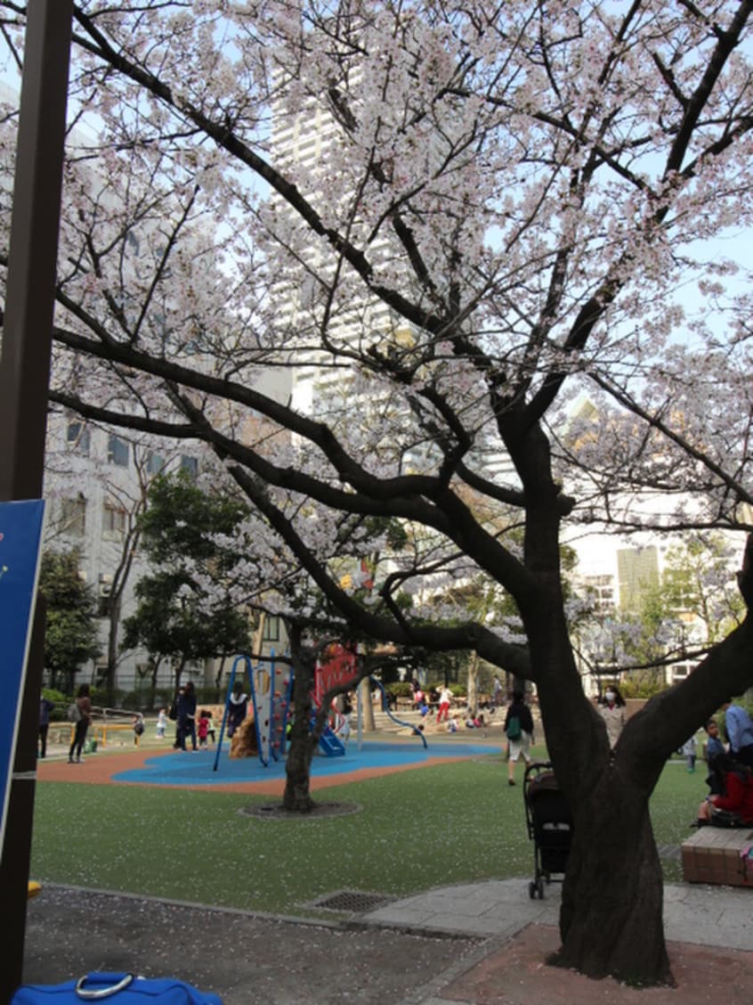 蛎殻町公園(公園)まで455m ﾄﾞﾙﾁｪ日本橋浜町・壱番館(1102)
