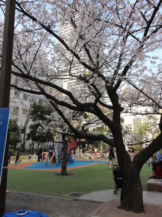 蛎殻町公園(公園)まで455m ﾄﾞﾙﾁｪ日本橋浜町・壱番館(1102)