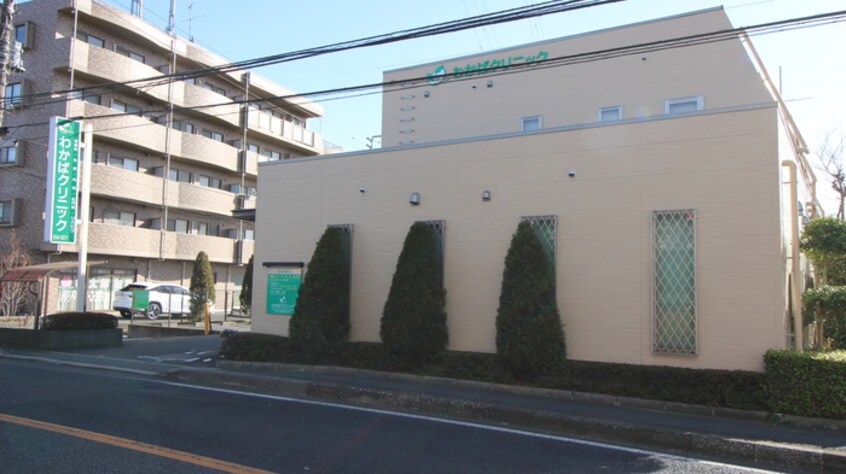 わかばクリニック(病院)まで100m エクセルコート都Ｄ