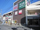 食品館あおば 中山店(スーパー)まで626m ソレイユ　森の台