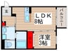 ＡＸＩＡ　東所沢 1LDKの間取り