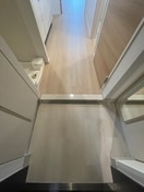 玄関 フロンティアレジデンス錦糸公園