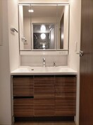 洗面 フロンティアレジデンス錦糸公園