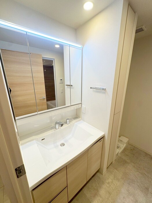 洗面 フロンティアレジデンス錦糸公園