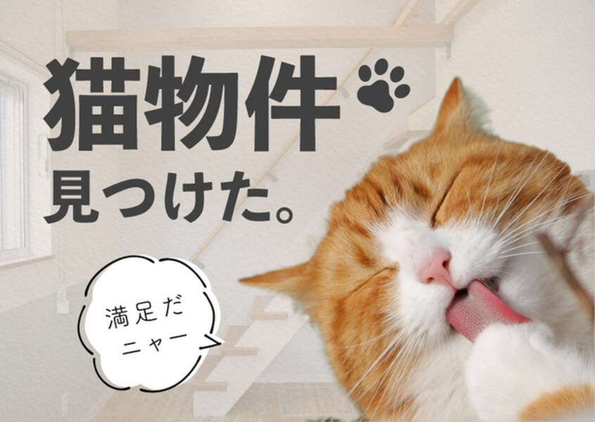 周辺環境 猫と住む家　La vie En Rose