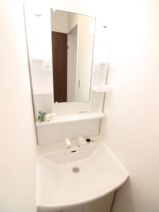 洗面 猫と住む家　La vie En Rose