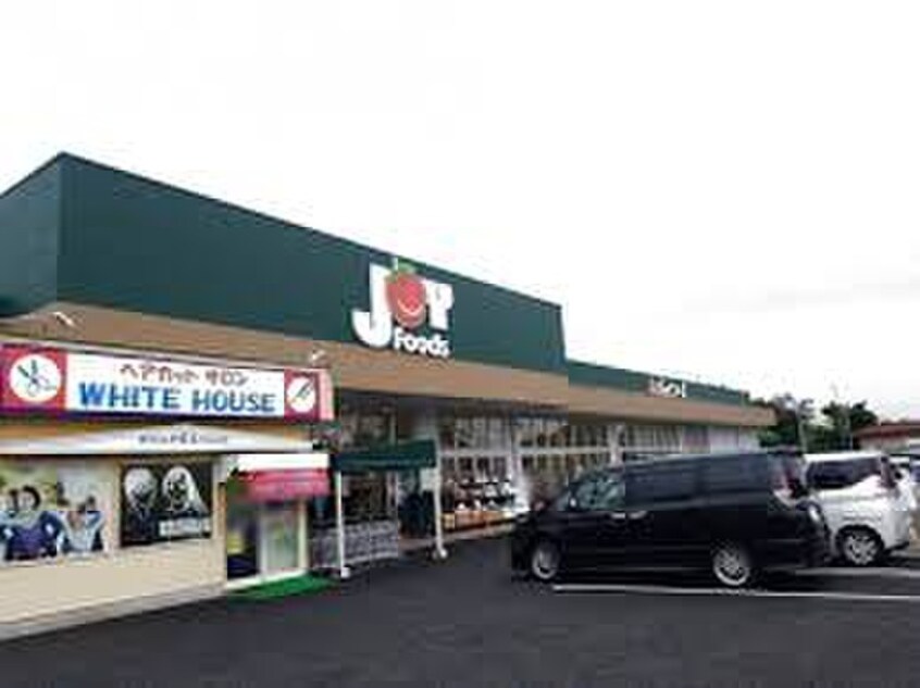 ジョイフーズ蓮田店(スーパー)まで550m 猫と住む家　La vie En Rose