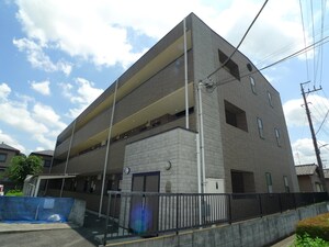 アンプルール　フレア