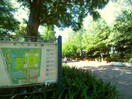 草加公園(公園)まで700m アンプルール　フレア