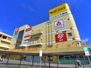 イコアス(スーパー)まで1100m ガイア小倉台２号館