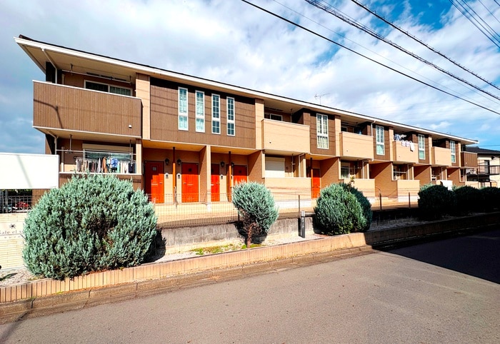 その他 セレソル